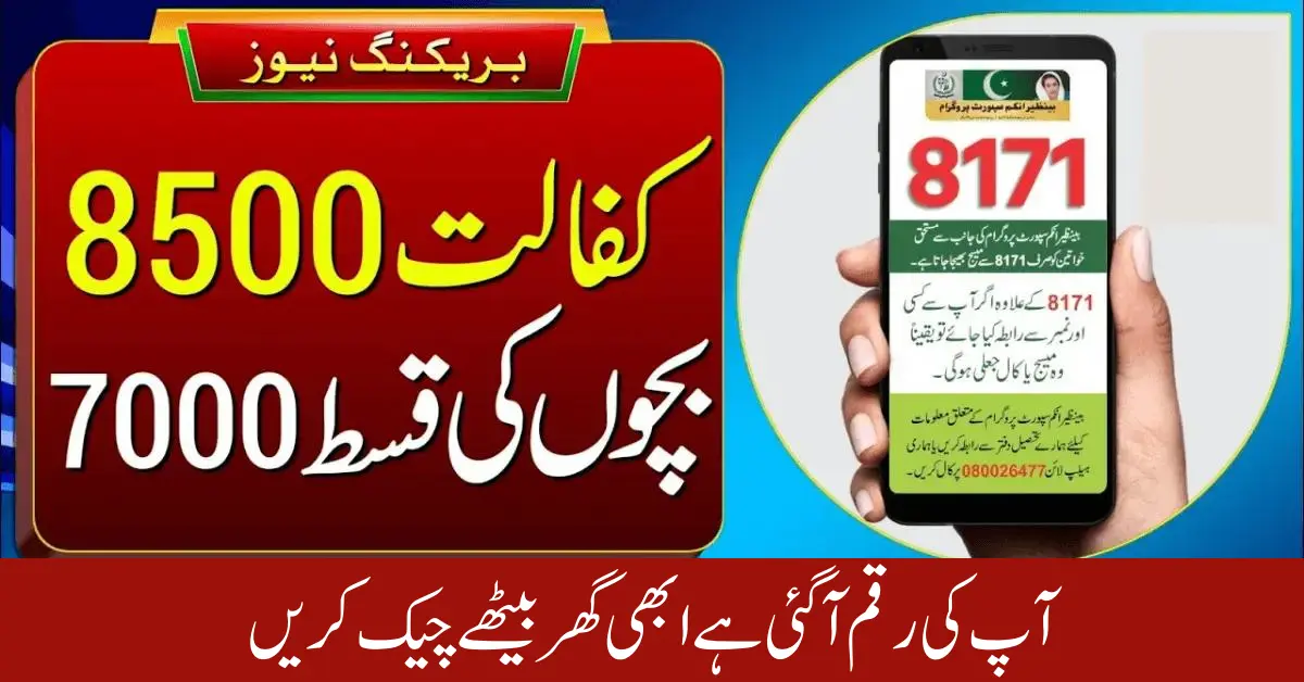 8171 Check Online CNIC 8500 Ehsaas 2024 Program