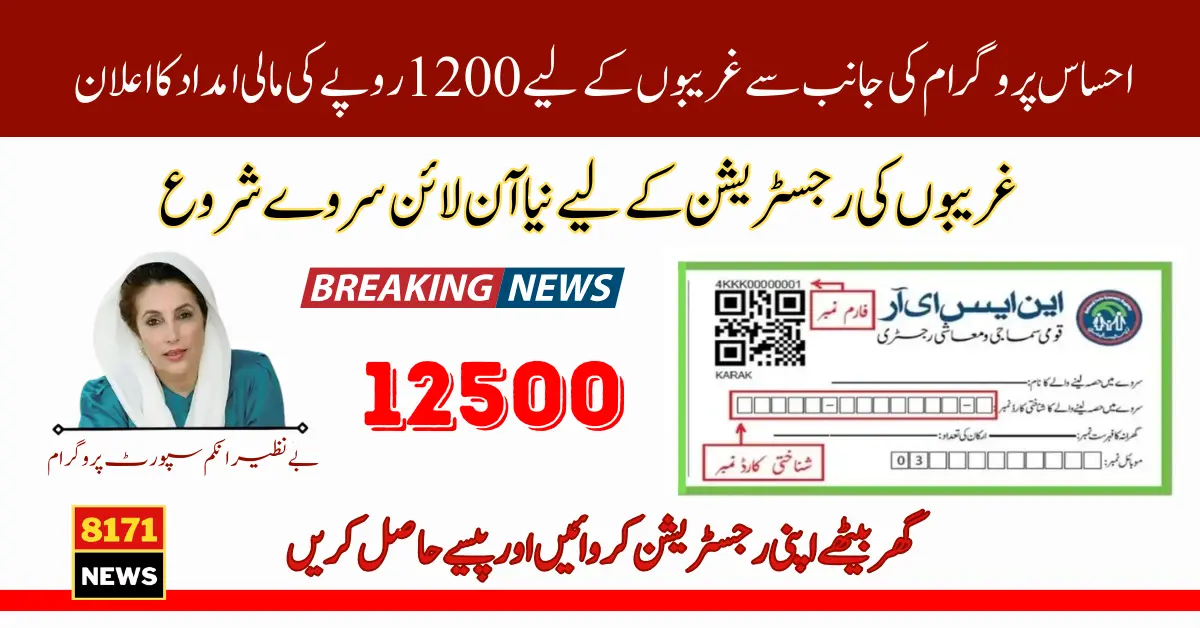 8171 NSER Survey Online Registration Via ID Card For Ehsaas 12500 Payment