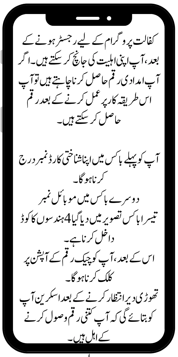 Ehsaas Kafalat Program Payment Check Online New News