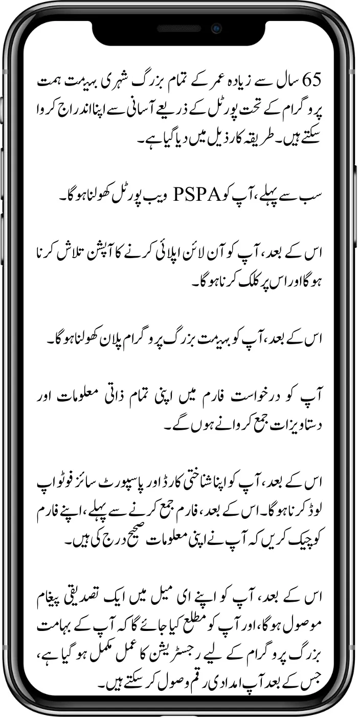 Online Apply For the Ba Himmat Buzurg Program Latest News