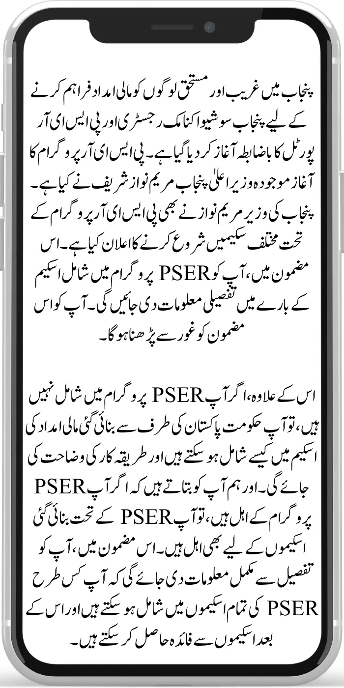 All Financial Assistance Schemes Under PSER in Pakistan