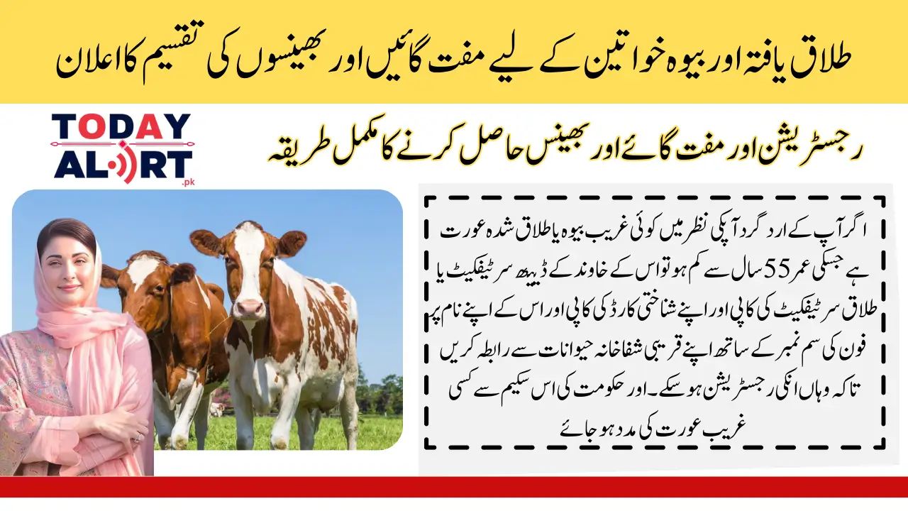 Free Cows and Buffaloes for Widows and Divorced Women: Livestock Card by Maryam Nawaz