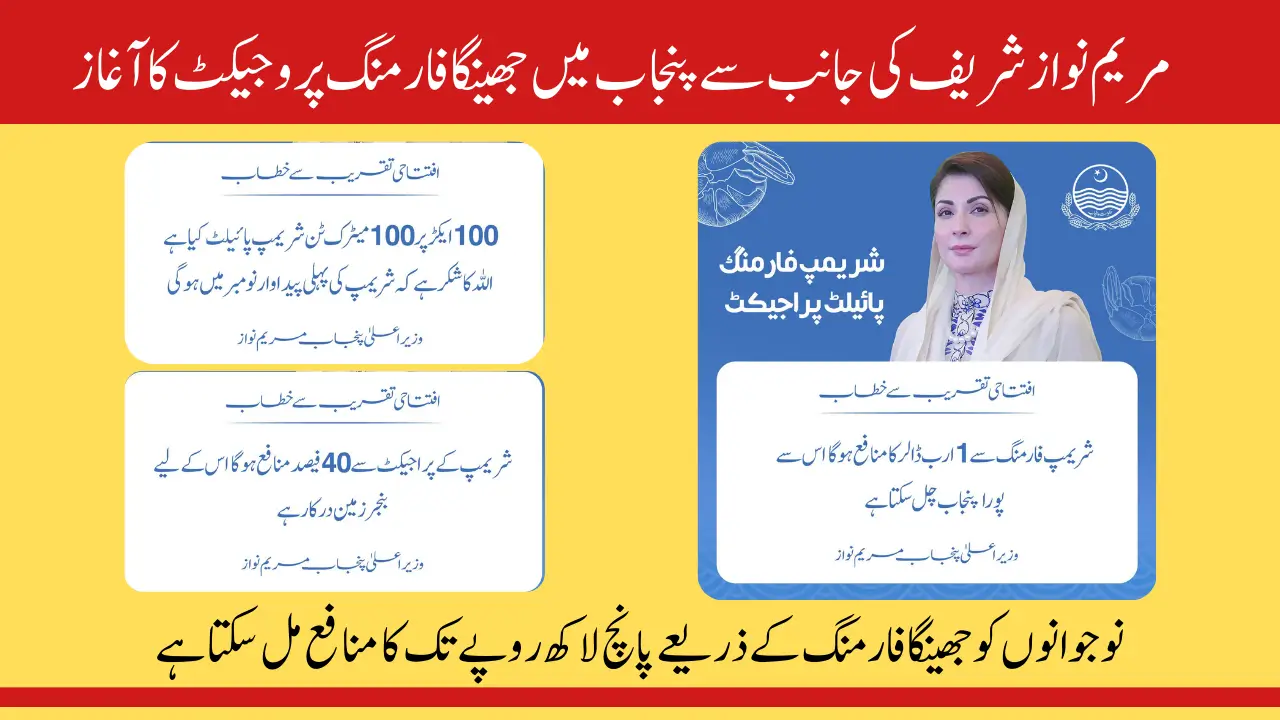Maryam Nawaz Shrimp Farming Pilot Project in Punjab