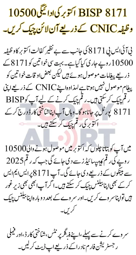BISP 8171 October Payment 10500 Stipend Check Online by CNIC
