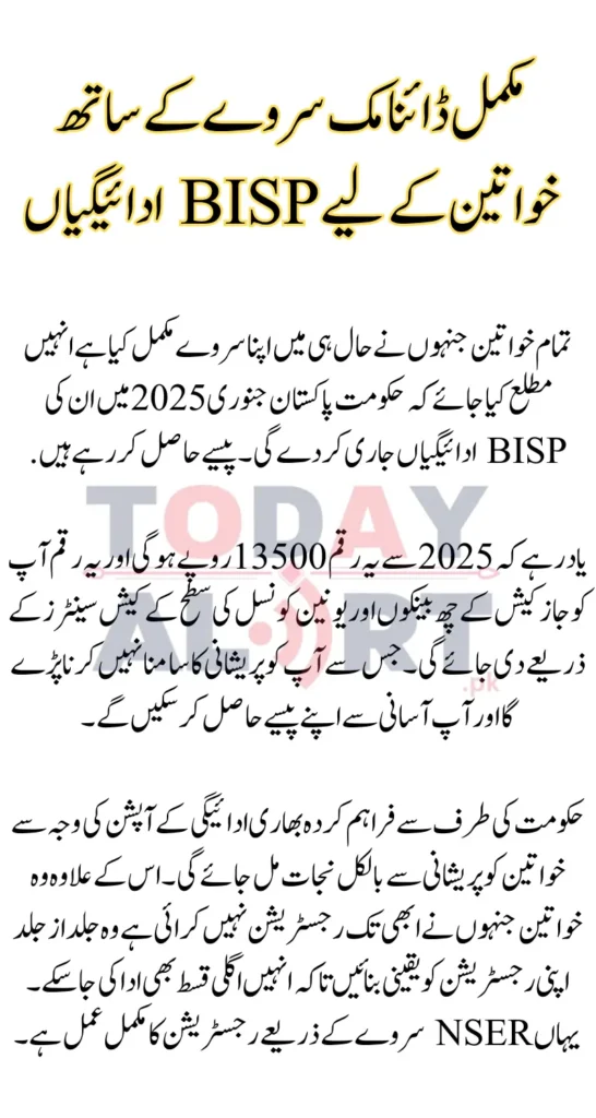 BISP Payments For Women With Completed Dynamic Survey To Begin In January 2025