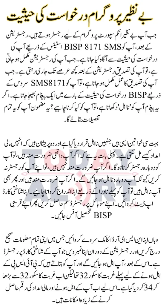 What to Do If Your BISP 8171 SMS Status Shows ‘Ineligible’
