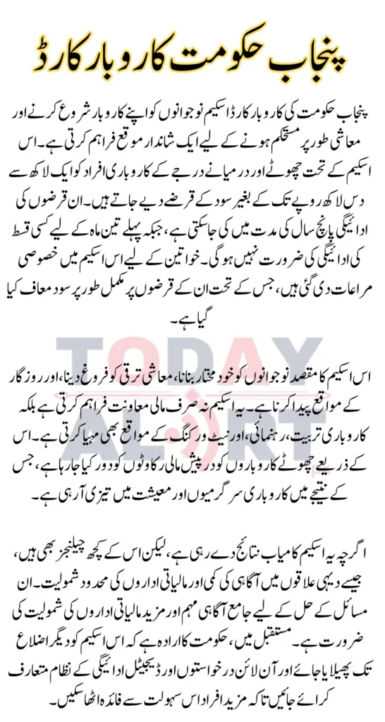 Punjab Government Karobar Card Scheme Registration and Loan Update