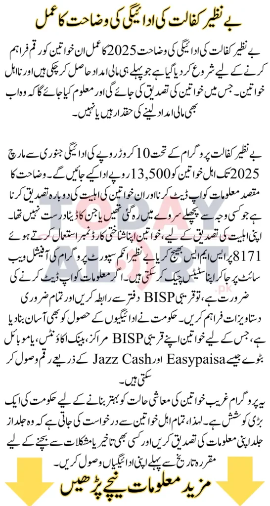Benazir Kafalat Payment Reclarification 2025: A Step-by-Step Guide to Verify Your Eligibility for Rs. 13500 Payment