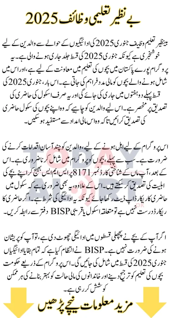 Benazir Taleemi Wazaif January 2025 Payments - How to Verify Eligibility and Get Stipend