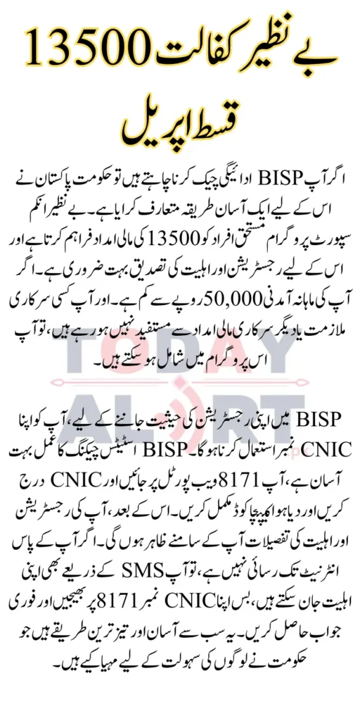 BISP Payment Check By CNIC Online 2025 - April Update