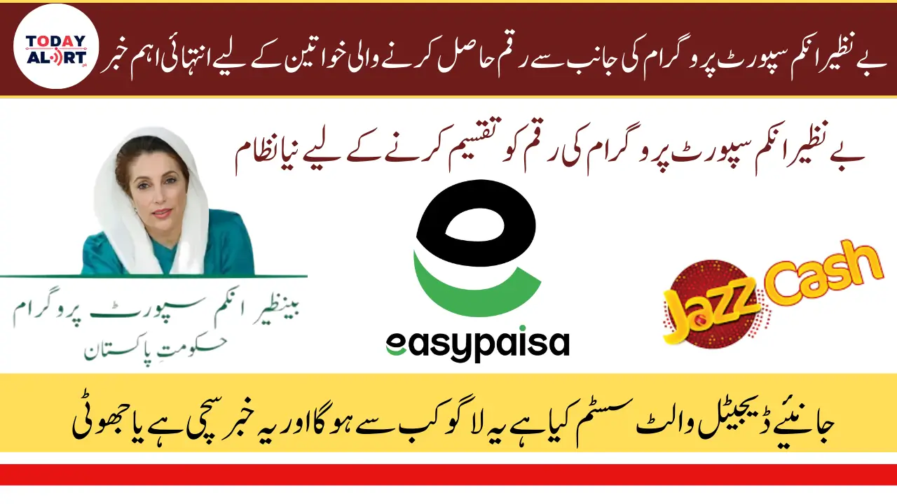 BISP 8171 Digital Wallet System for 13500 Payment Withdrawal April 2025
