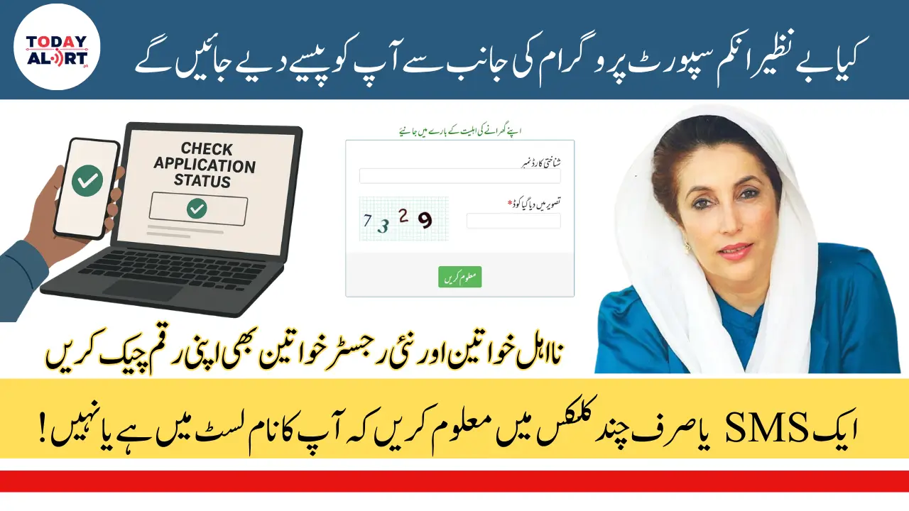BISP Payment 13500 April 2025 Check Status Online
