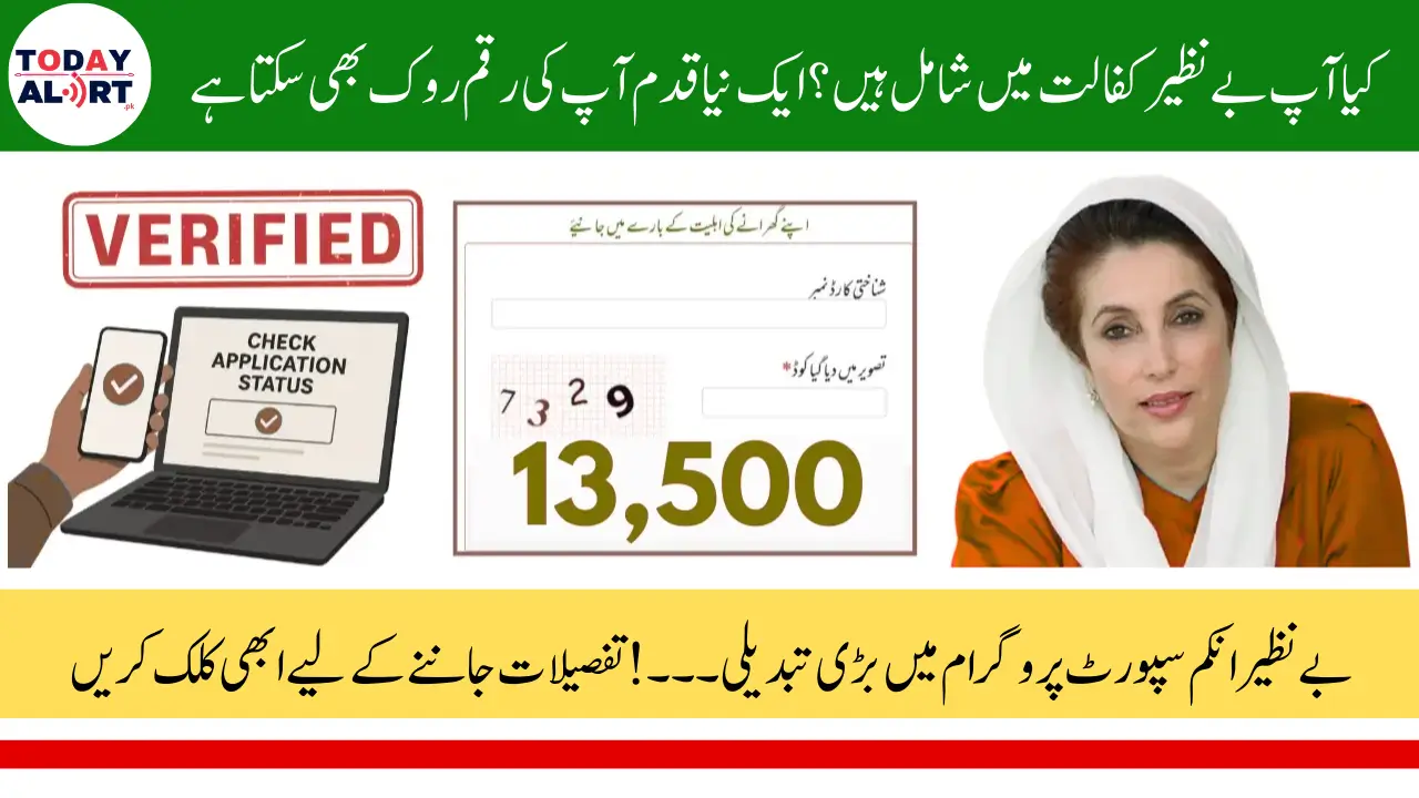 BISP Payment Validation April 2025 Step by Step Guide
