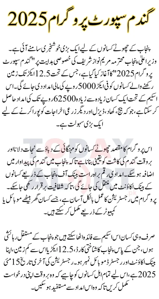 CM Punjab Wheat Support Program Financial Aid Upto 62500