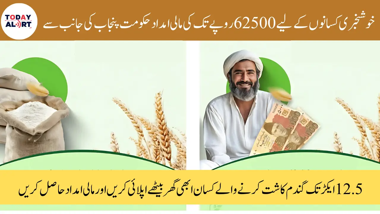 CM Punjab Wheat Support Program Financial Aid Upto 62500