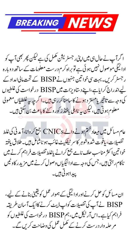 How to Fix BISP Application errors and Reapply for 13500 Payment