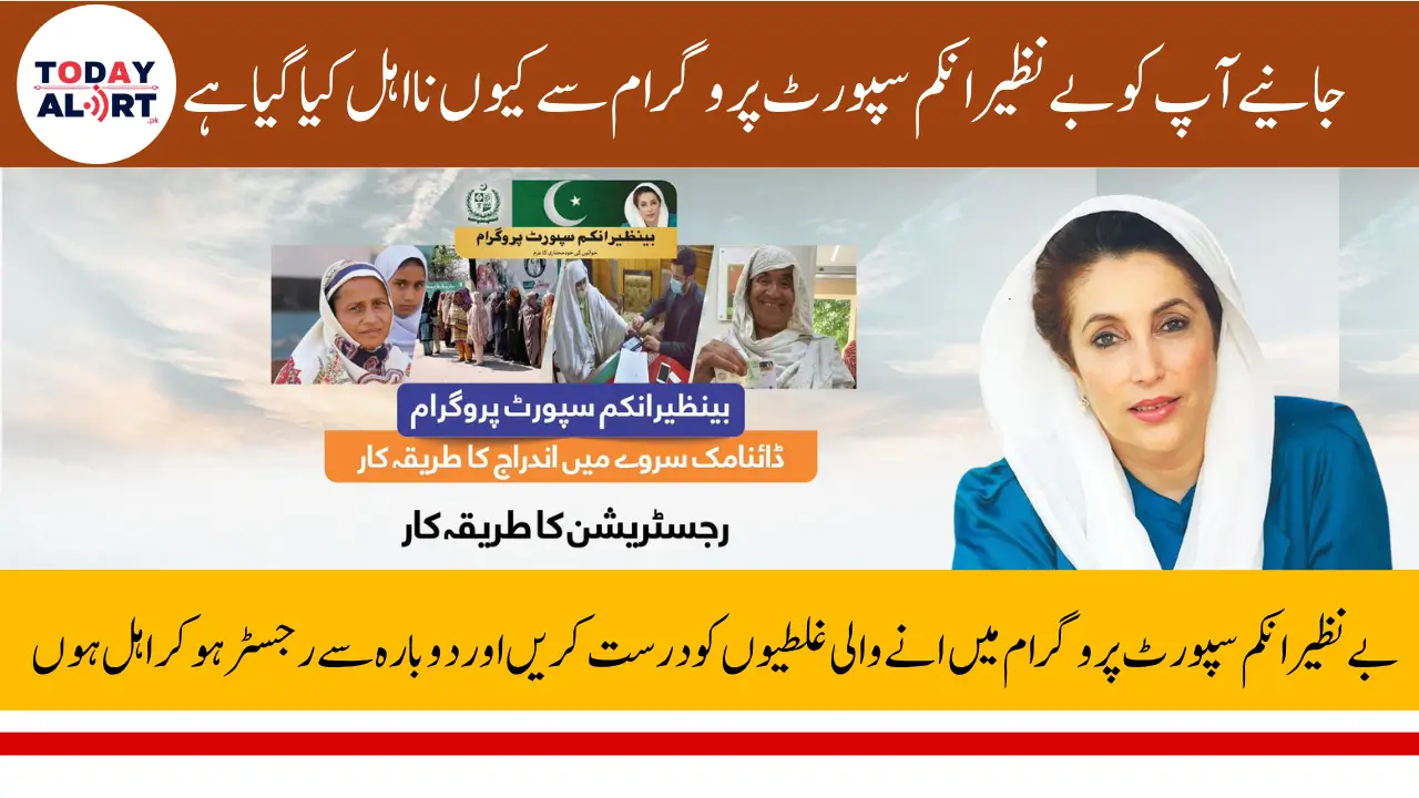How to Fix BISP Application errors and Reapply for 13500 Payment